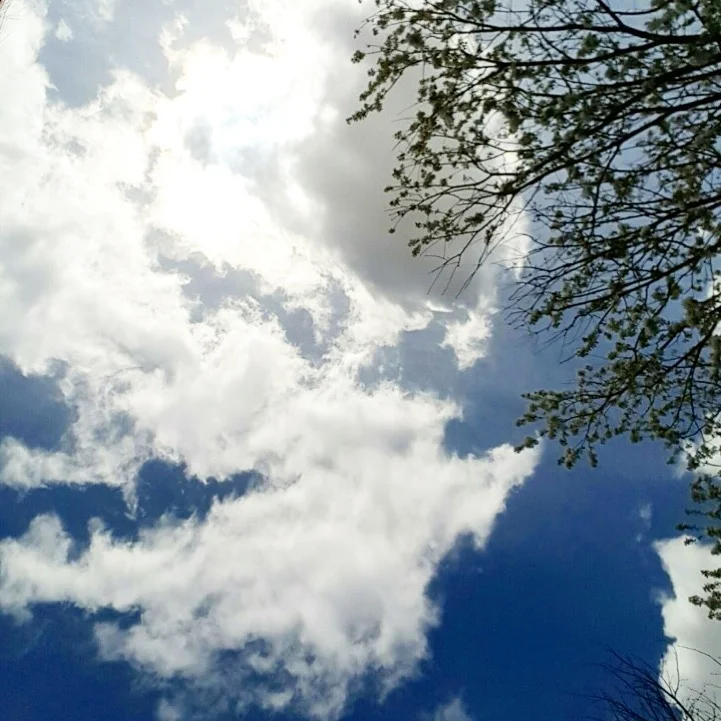 Wyoming: Cheyenne&nbsp;