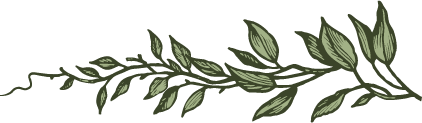 left branch.png