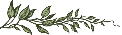 right branch.png
