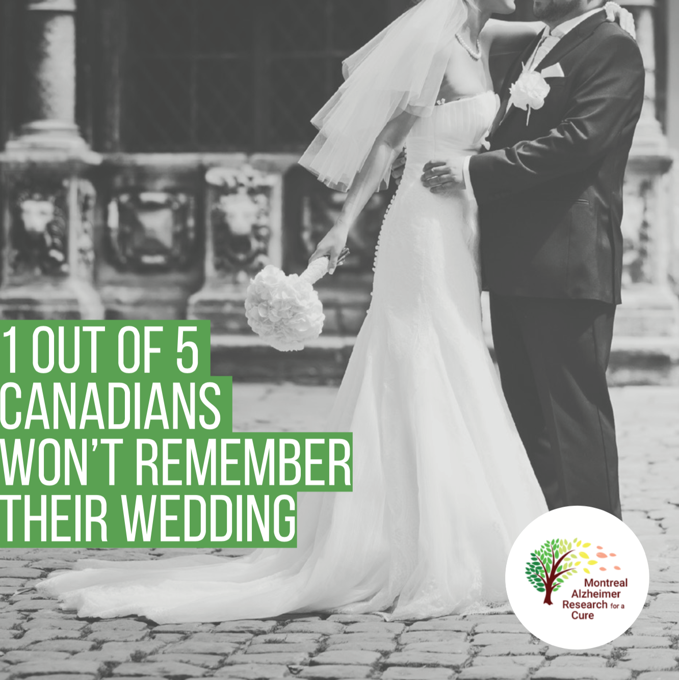 Screen Shot 2018-01-05 at 3.23.45 PM.png