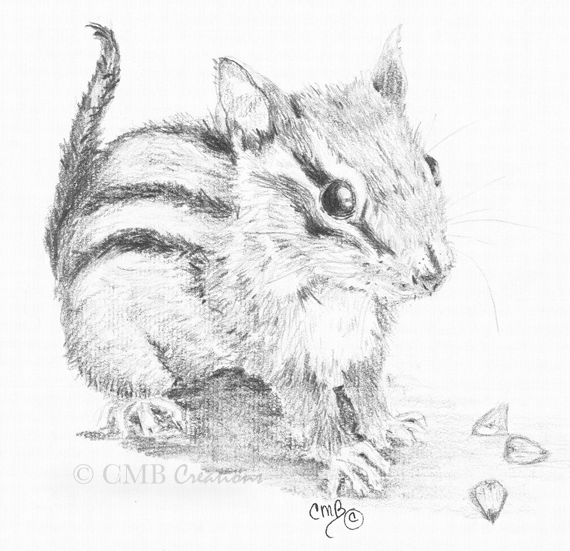 Baby-Chipmunk-Print.gif