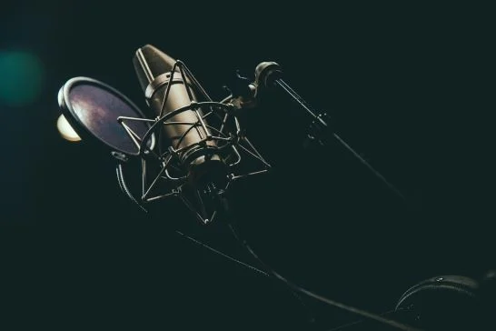 Best Voice Over Casting Director In Us Nationwide