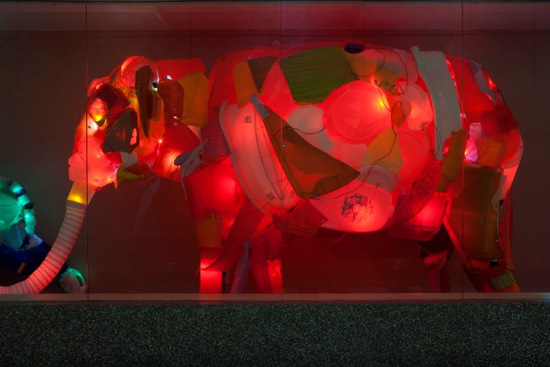 Minet Press Photo 3.jpg