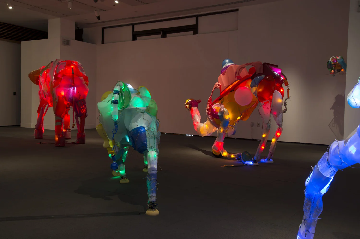 muzeo full view back.jpg