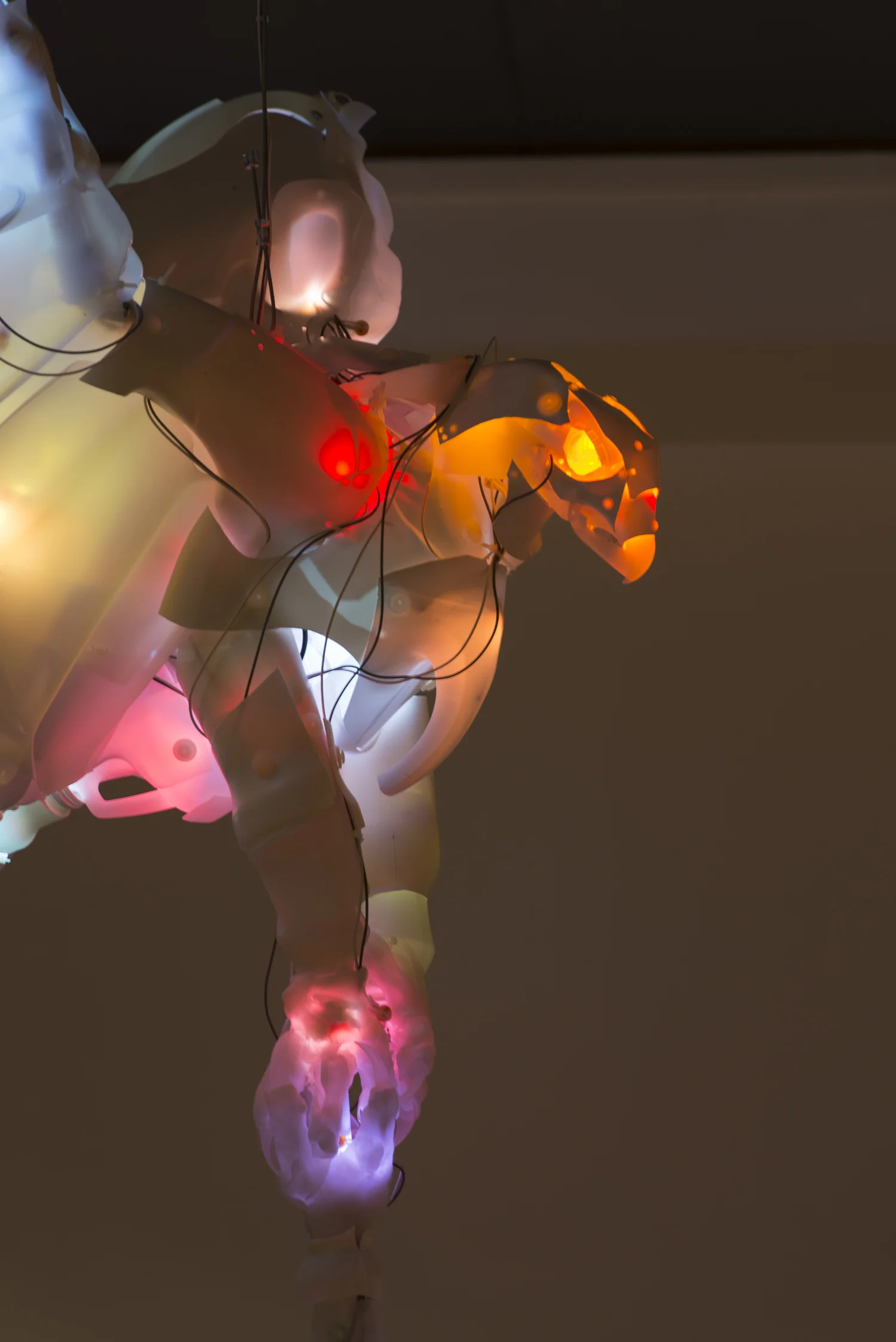 Predator: Sky Dance, 2015 Post-consumer plastic, LEDs, fasteners, Instamorph, cable 72 x 48 x 50 inches (detail) Shown here at the USC Fisher Museum, Los Angeles. 2015