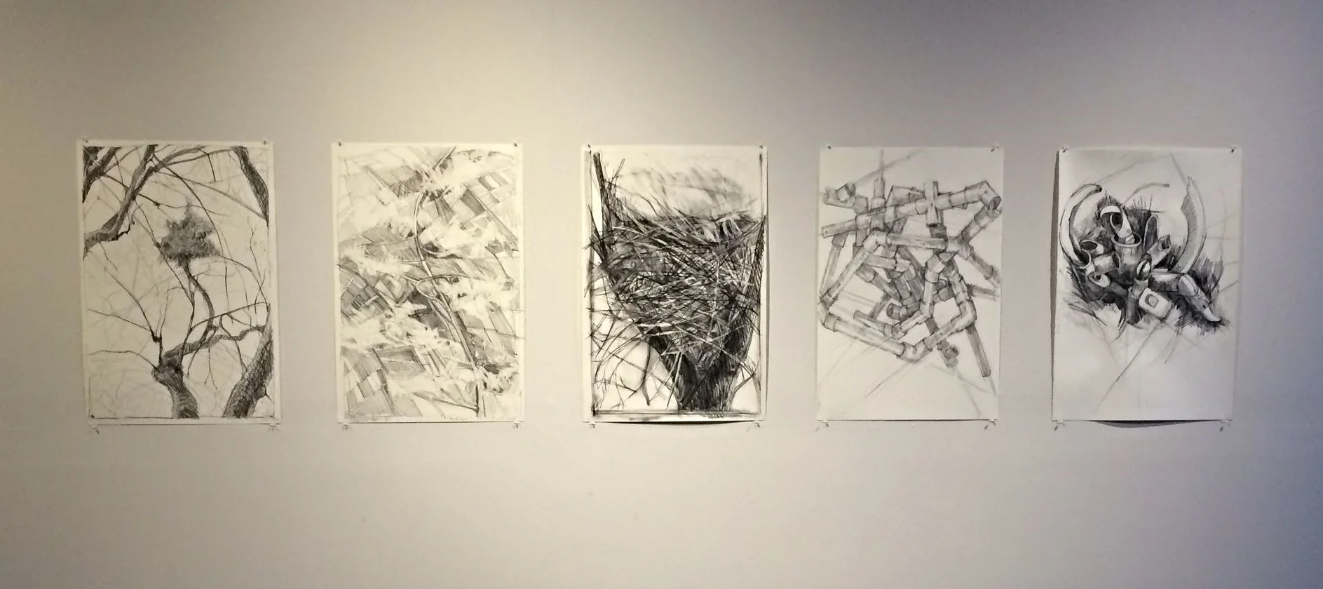   Nests I, II, III, IV, and V , 2016, graphite and charcoal on Fabriano paper, 15 x 22 inches (each) Shown at Vita Art Center, Ventura, CA 2016 