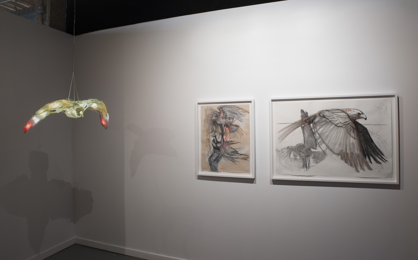 Predator: Falcon , 25 x 32 x 6 inches, Post-consumer plastics, LEDs, hardware, fasteners. 2014. Drawings: (On left) Study for Sky Dance II, 22 x 30 inches, mixed media on rag paper, 2014. (On right) Study for Falcon II , 30 x 44 inches, charcoal and conte on rag paper, 2014. photo credit: Lawrence Pierce