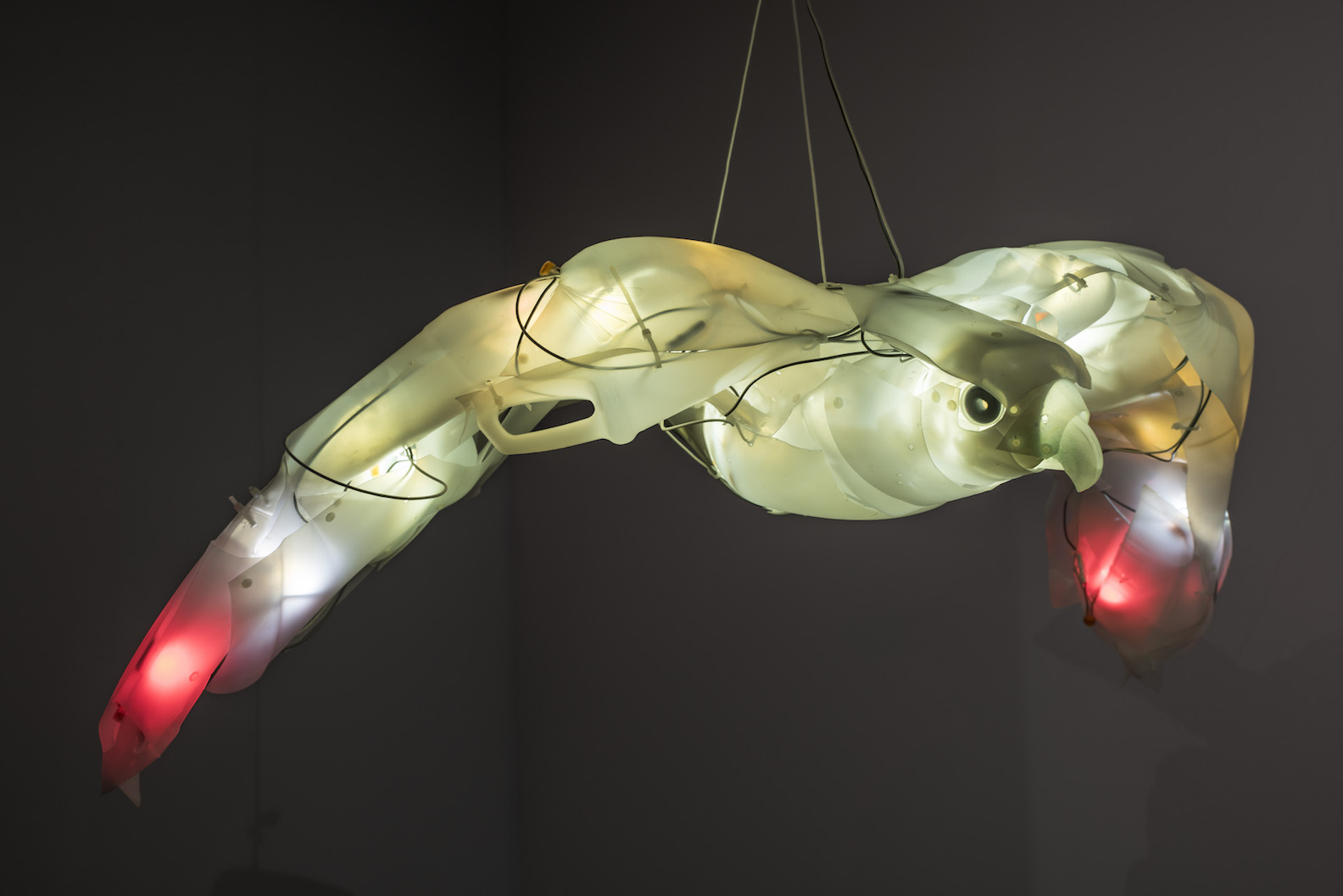 Predator: Falcon , 25 x 32 x 6 inches, Post-consumer plastics, LEDs, hardware, fasteners. 2014. photo credit: Lawrence Pierce