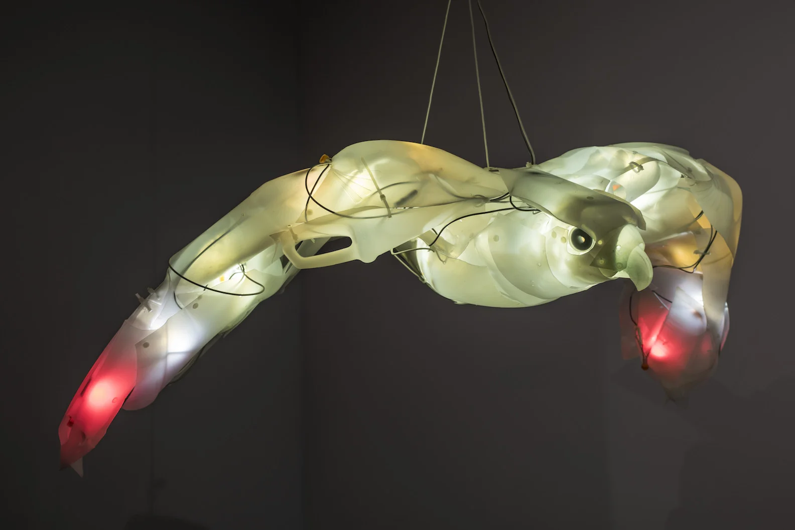    Predator: Falcon  , 25 x 32 x 6 inches,&nbsp;Post-consumer plastics, &nbsp;LEDs, hardware, fasteners. 2014.&nbsp; photo credit: Lawrence Pierce  