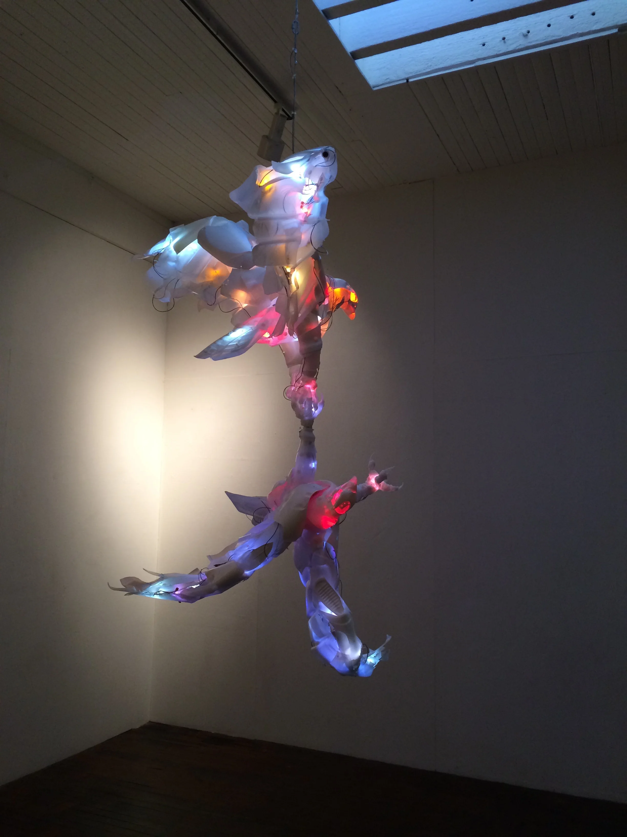 Predator: Sky Dance, 2015 Post-consumer plastic, LEDs, fasteners, Instamorph, cable 72 x 48 x 50 inches Shown here at the South Bay Contemporary, San Pedro, 2016