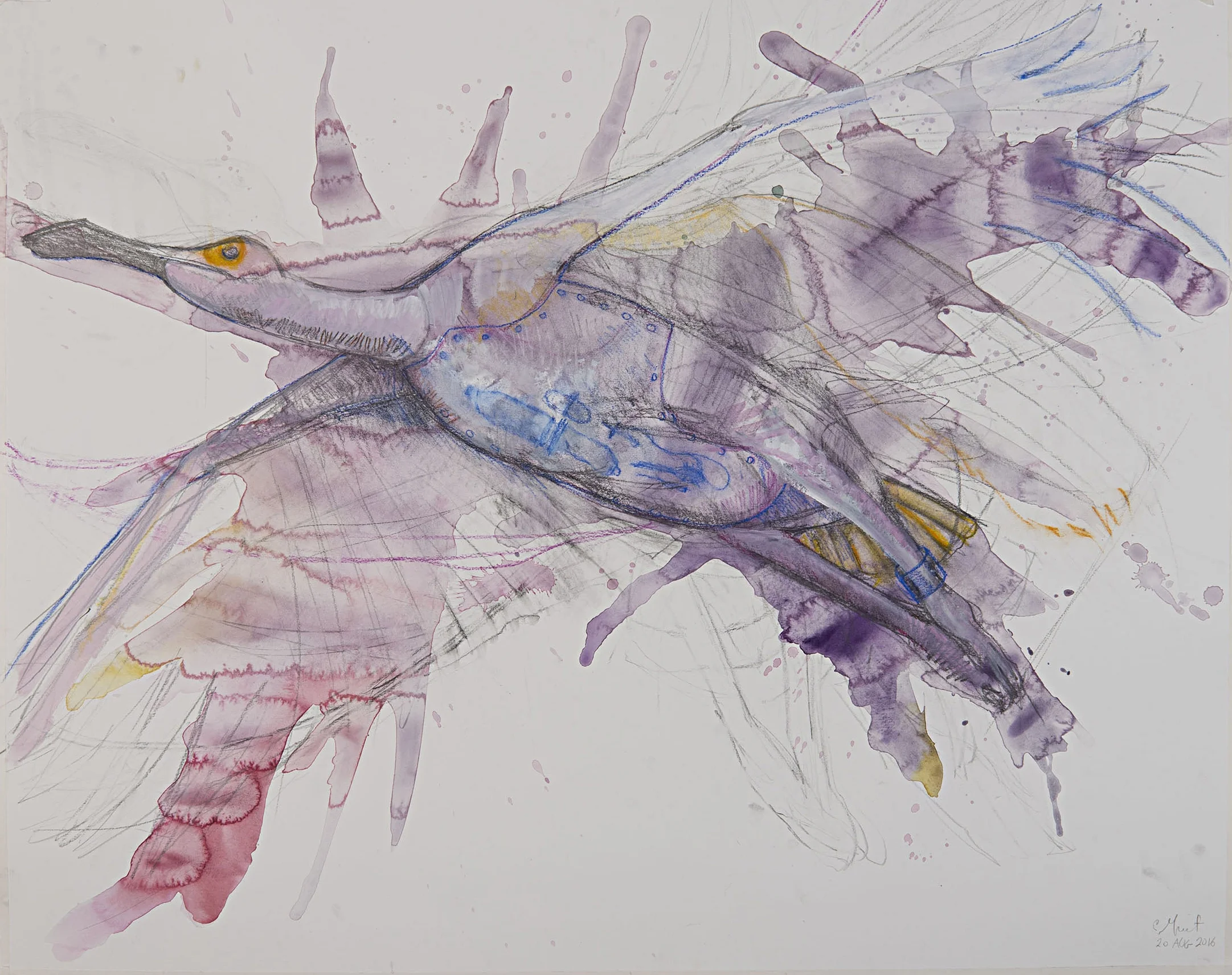   Study for Spoonbill #3 , 2016 watercolor, graphite, pastel 30 x 37.5 inches 