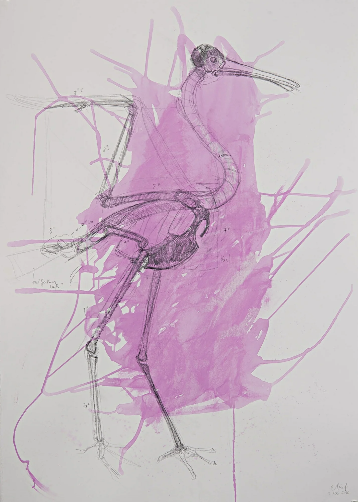   Study for Spoonbill Skeleton , 2016 graphite and gouache 44 x 30 inches 