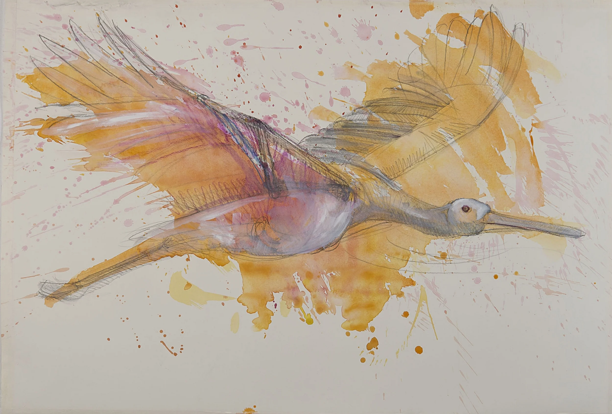   Study II for Spoonbill #3 , 2016 watercolor, gouache, graphite, charcoal pencil 31 x 37.5 inches 