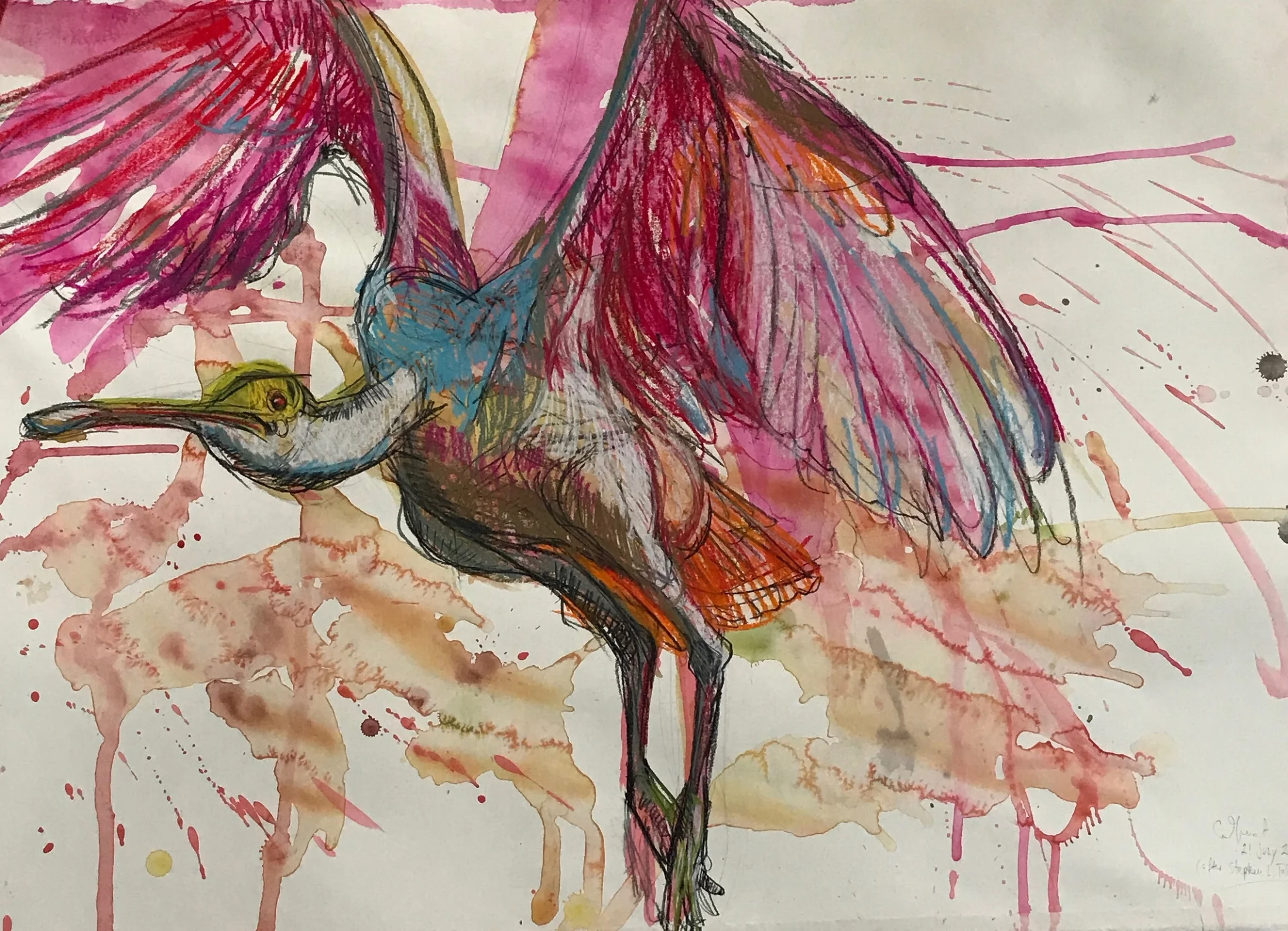   Study for Spoonbill #5,  2017 watercolor, pastel, charcoal 31 x 44 inches 