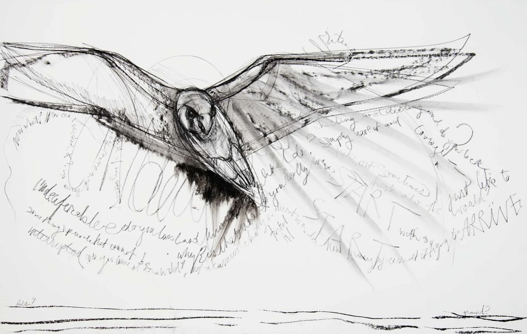   Sea? Ground?,&nbsp; 2014 charcoal on Stonehenge paper 30 x 44 inches 