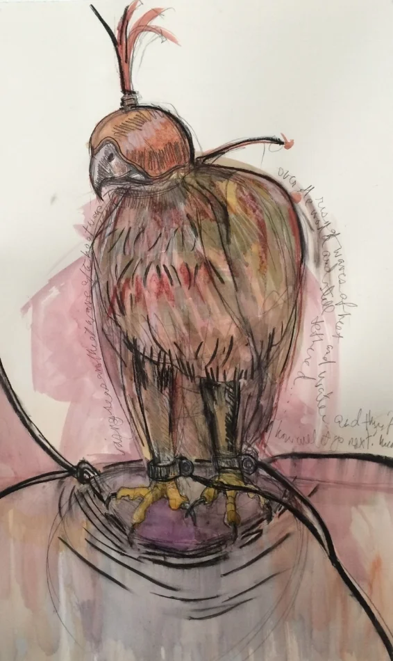   Tethered II,  2015 watercolor, pastel, charcoal 40 x 26 inches 