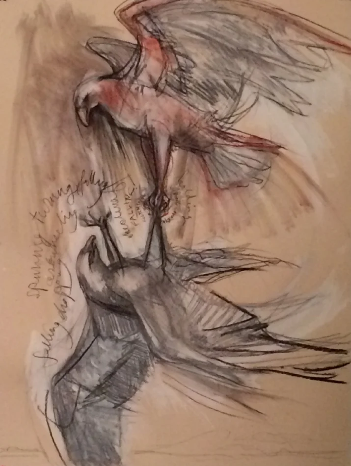   Study for Predator:Sky Dance II , 2015 charcoal, conte' crayon, gouache on Stonehenge paper 22 x 30 inches   