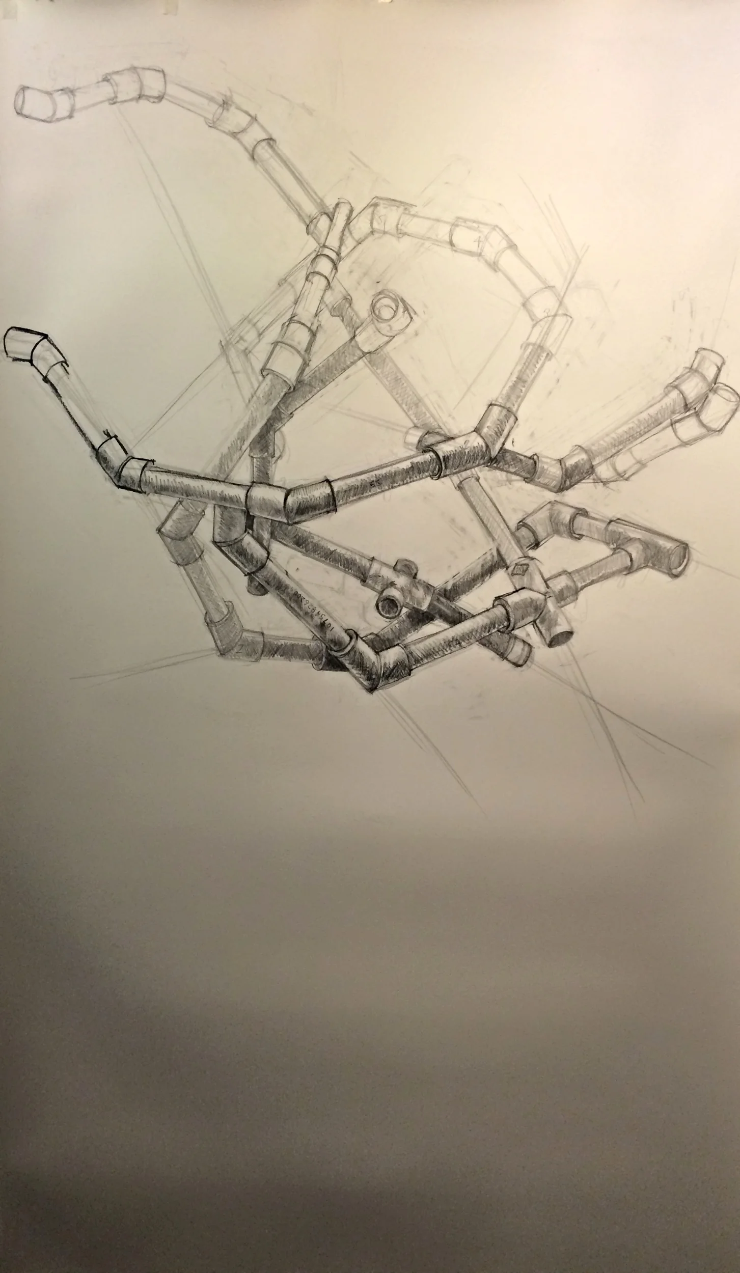   Nest VI , 2016 charcoal and graphite on Rives BFK paper 75 x 42 inches 