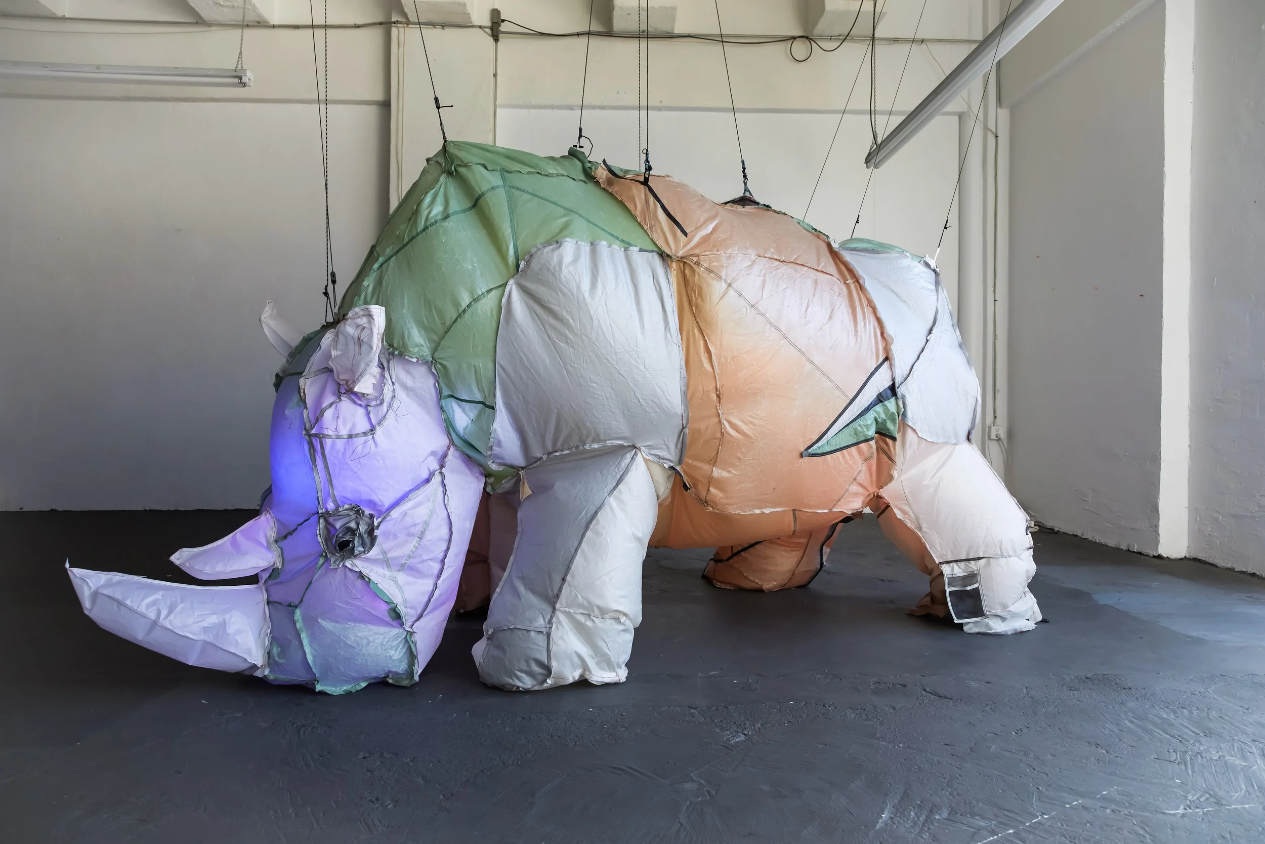 SECONDS TO LAST (Rhino)  studio view, unlit