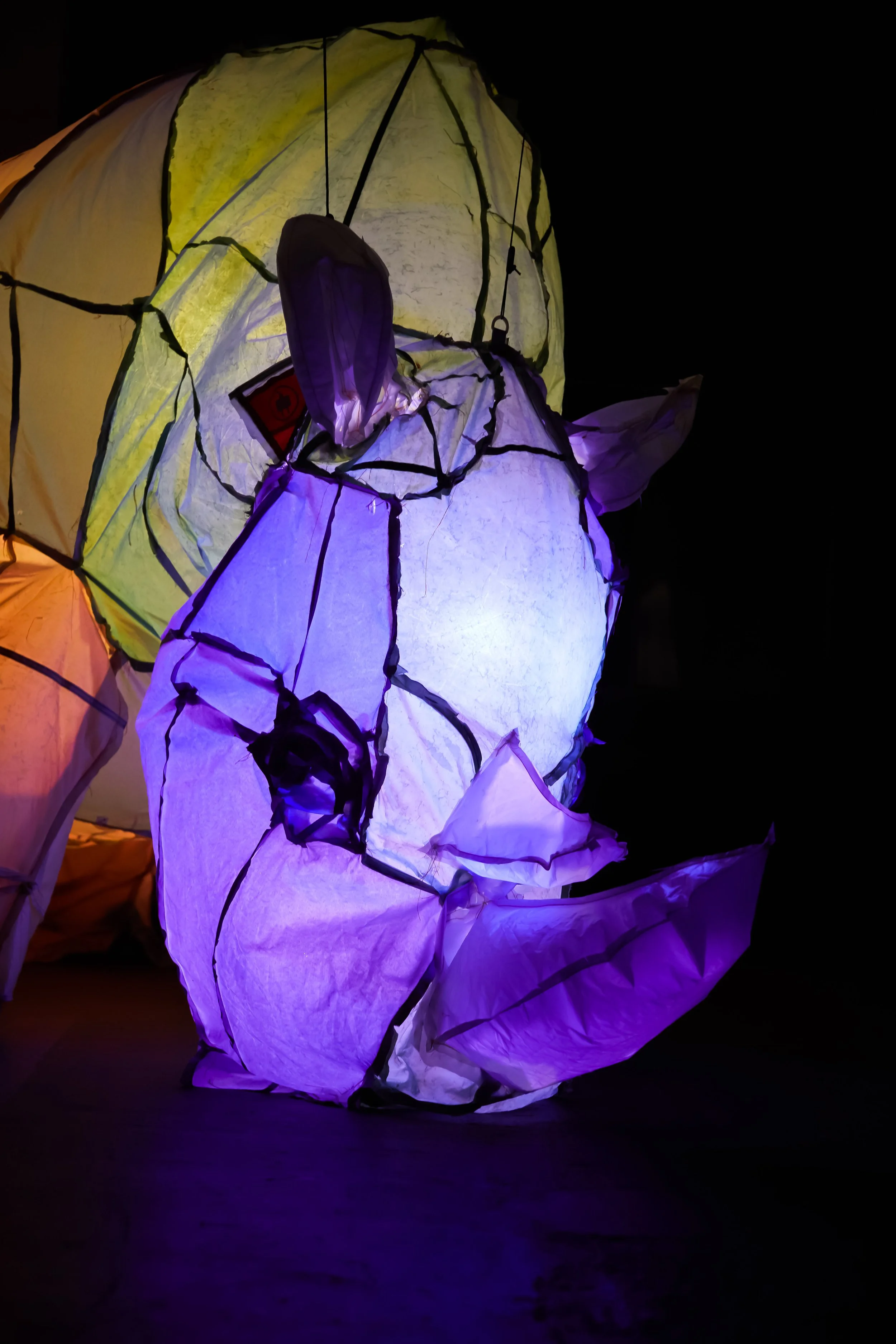 SECONDS TO LAST (Rhino) (studio view, detail)