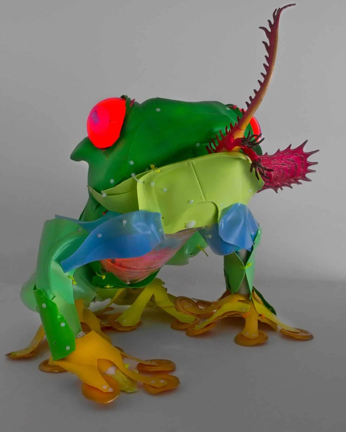 Frog, 2016