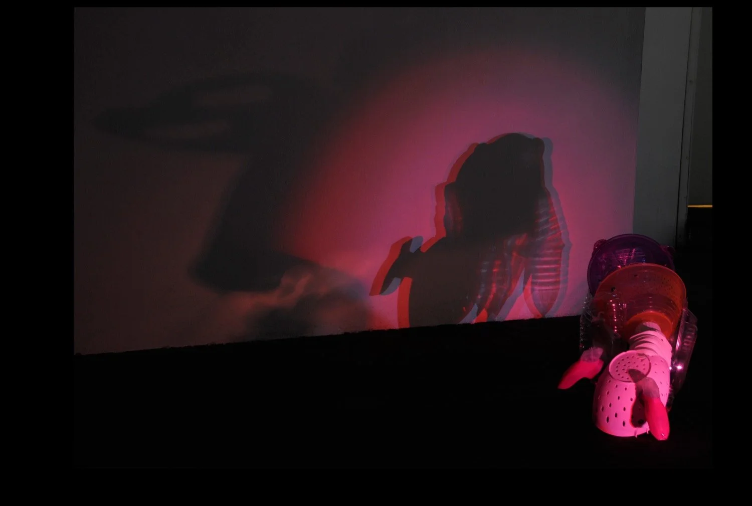  Unsustainable Creatures, solo installation at PØST, Los Angeles. August 2009.  Unsustainable Creatures is an ongoing project begun in 2009 in response to an invitation to make work for a night club in Padova, Italy. The location was flanked by a rec