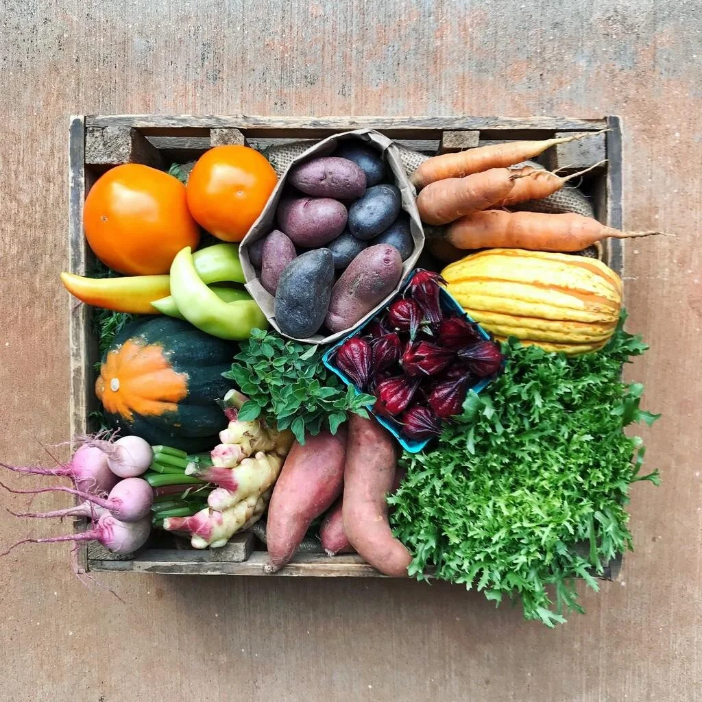 26 Oct Harvest.jpg