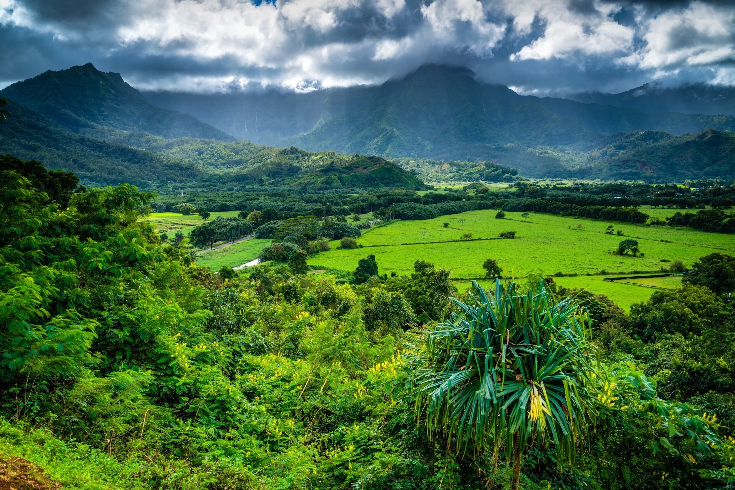 Kauai-6.jpg
