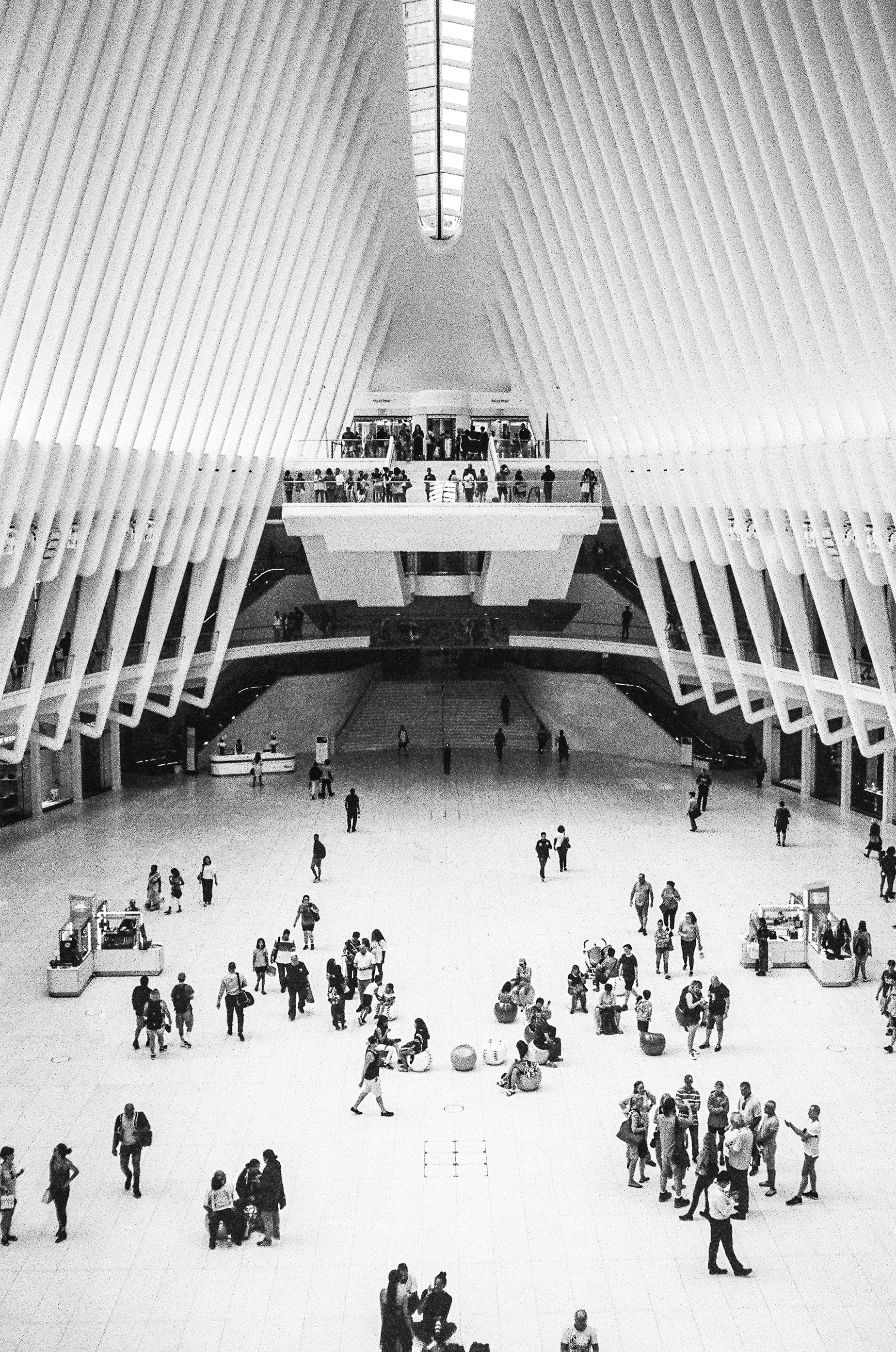 Oculus