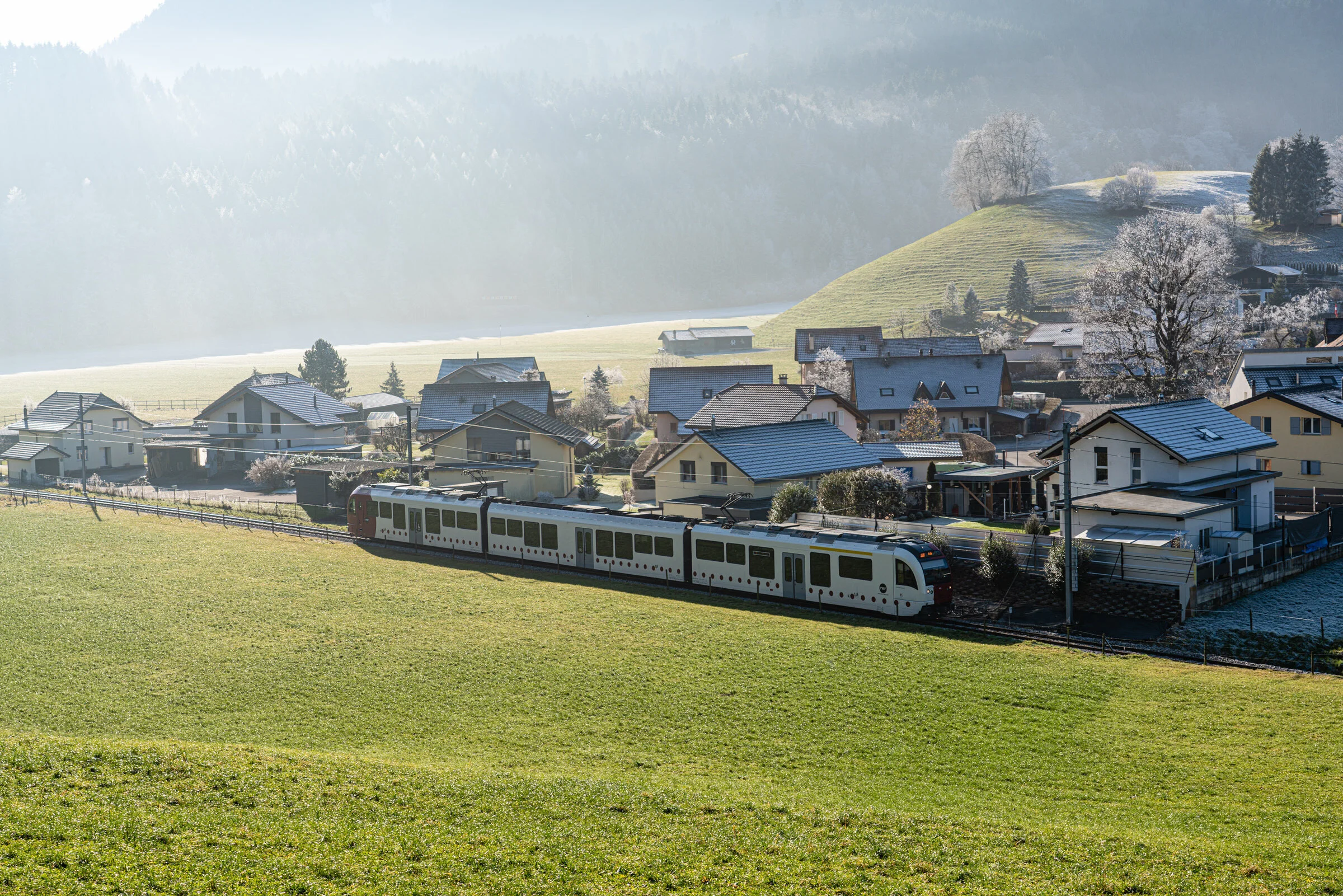 2020-Switzerland-141.jpg