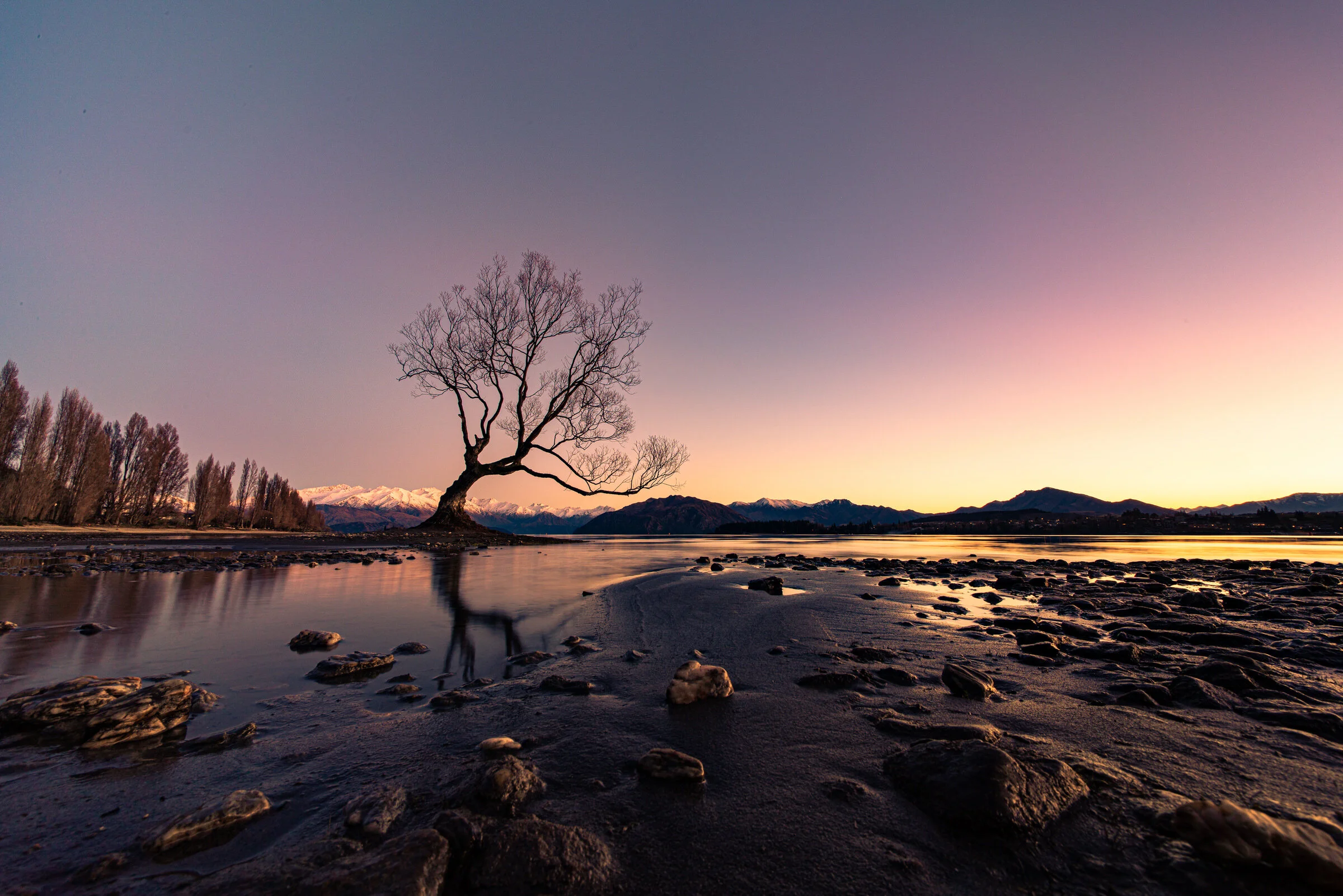 NewZealand2019-14.jpg