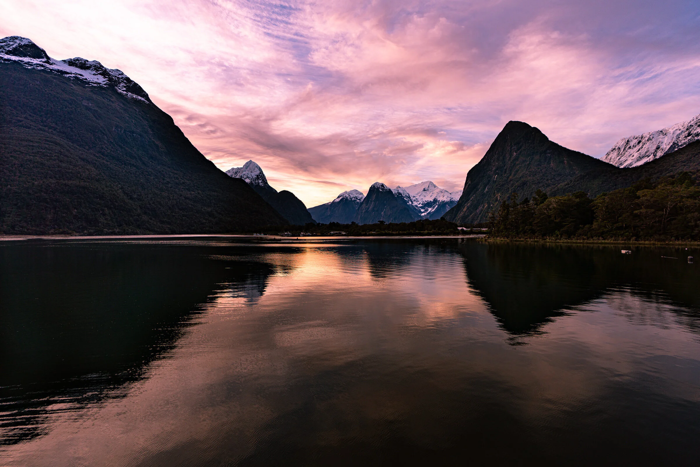 NewZealand2019-65.jpg