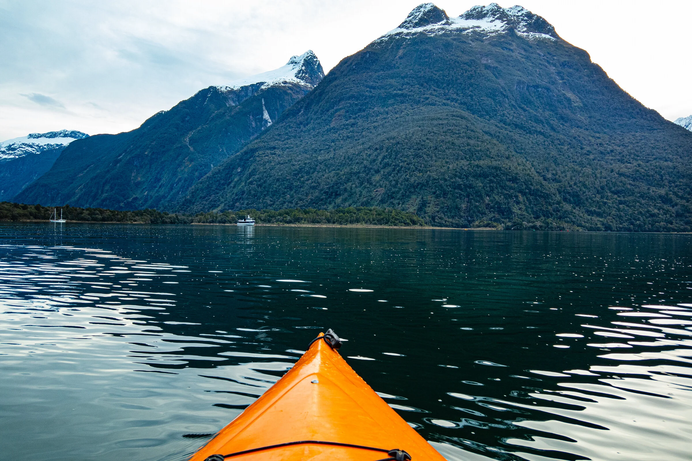 NewZealand2019-59.jpg