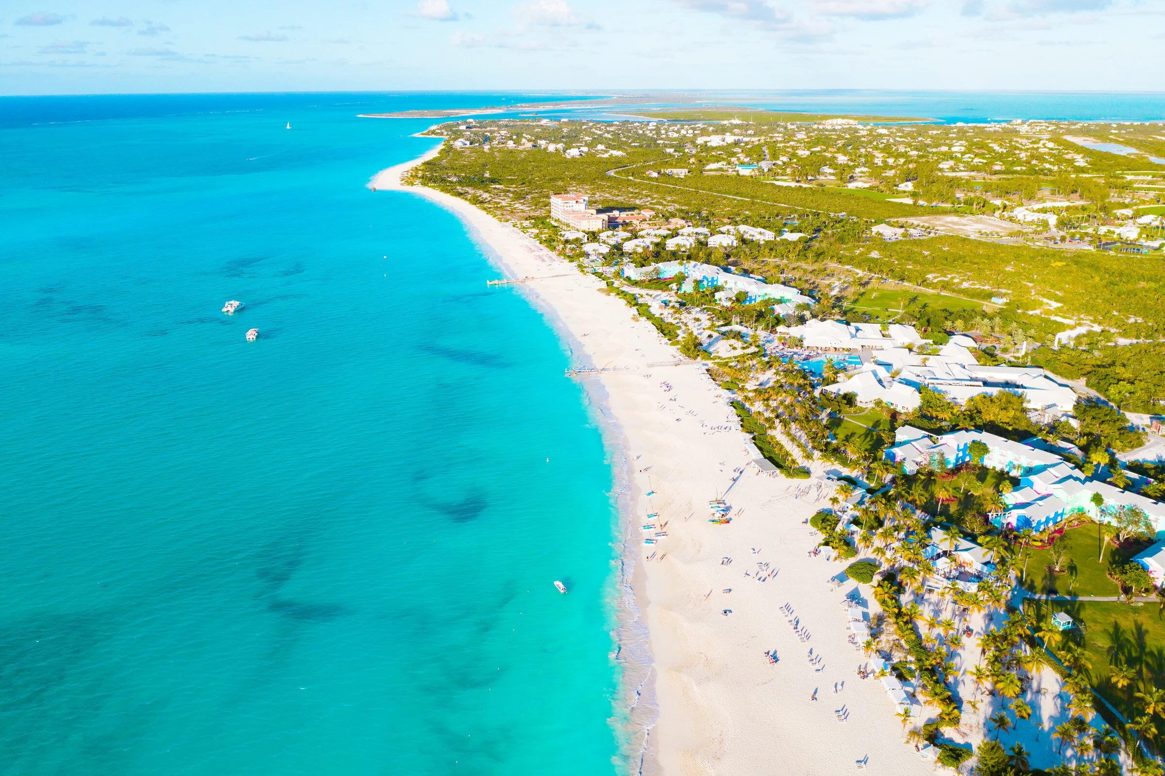 TCI-16.jpg