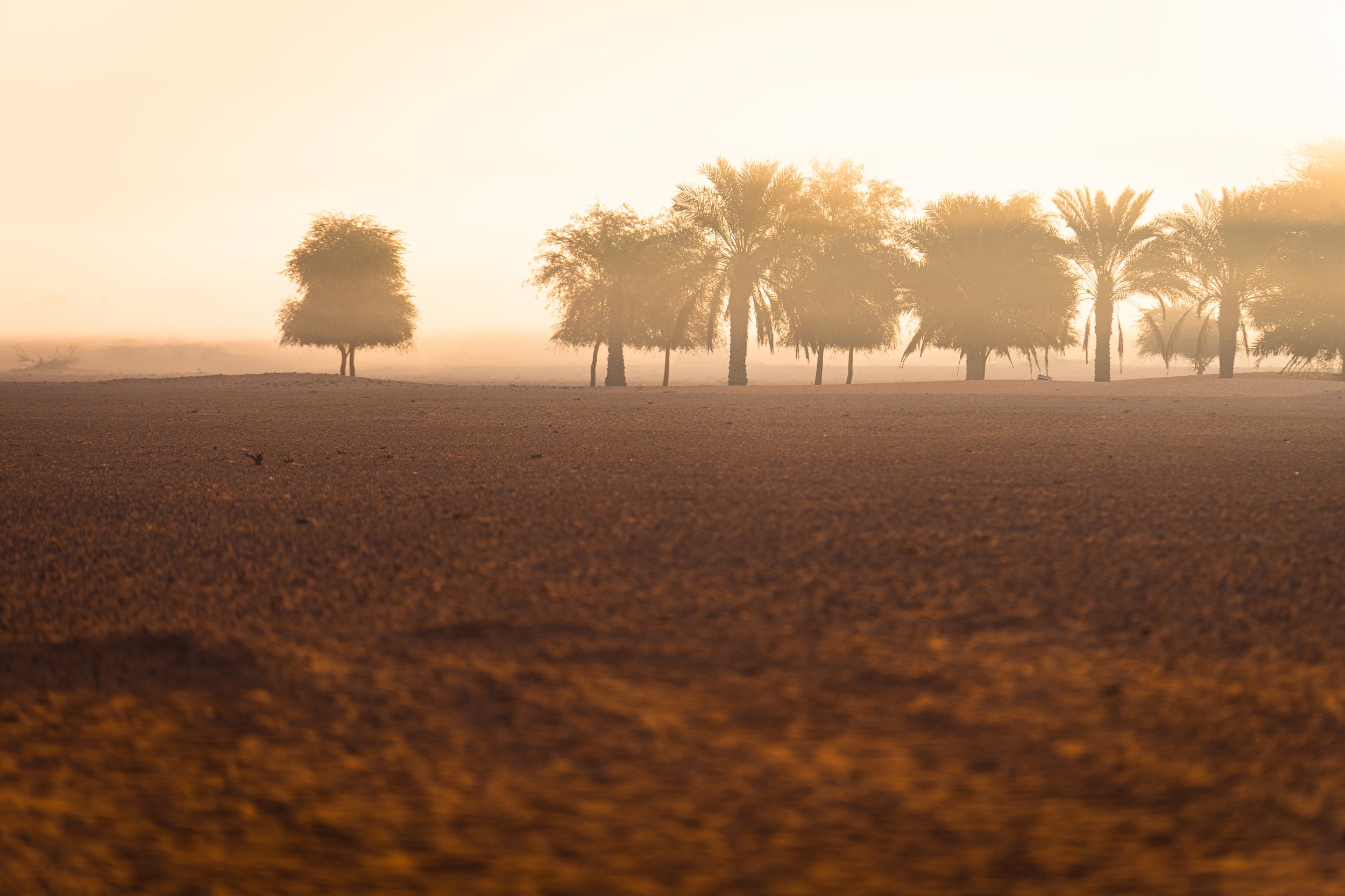 2021-UAE-64.jpg