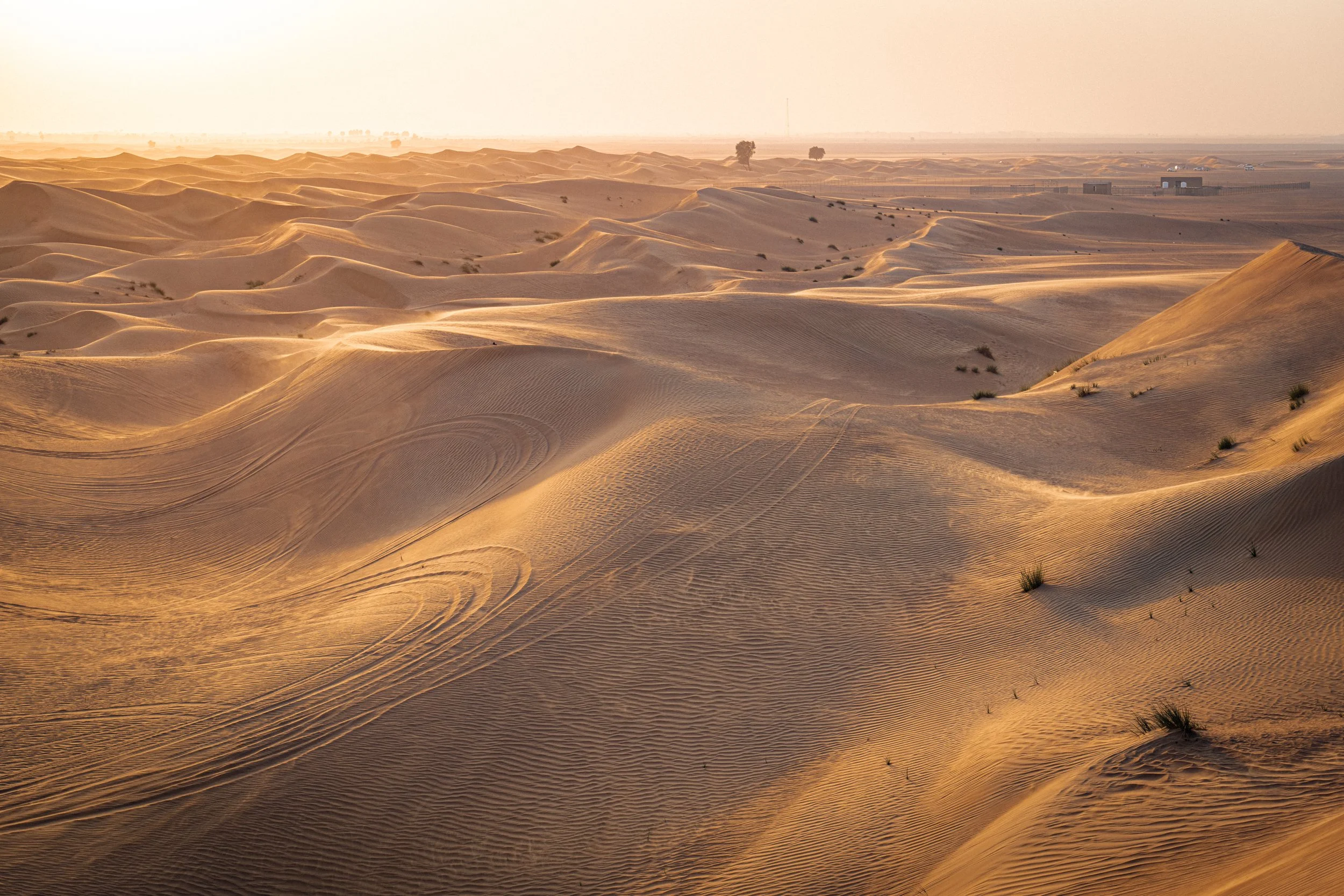 2021-UAE-38.jpg