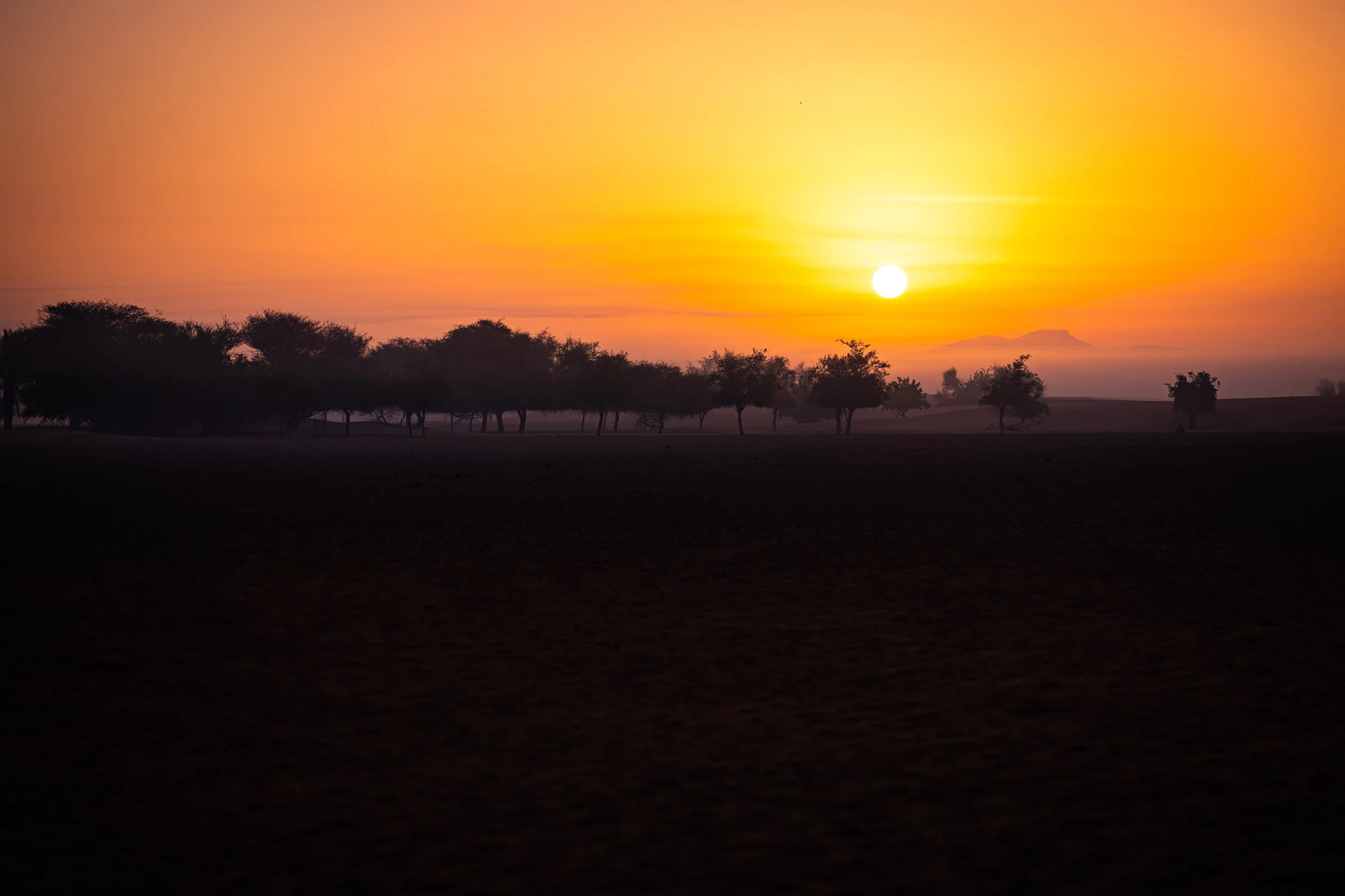 2021-UAE-58.jpg