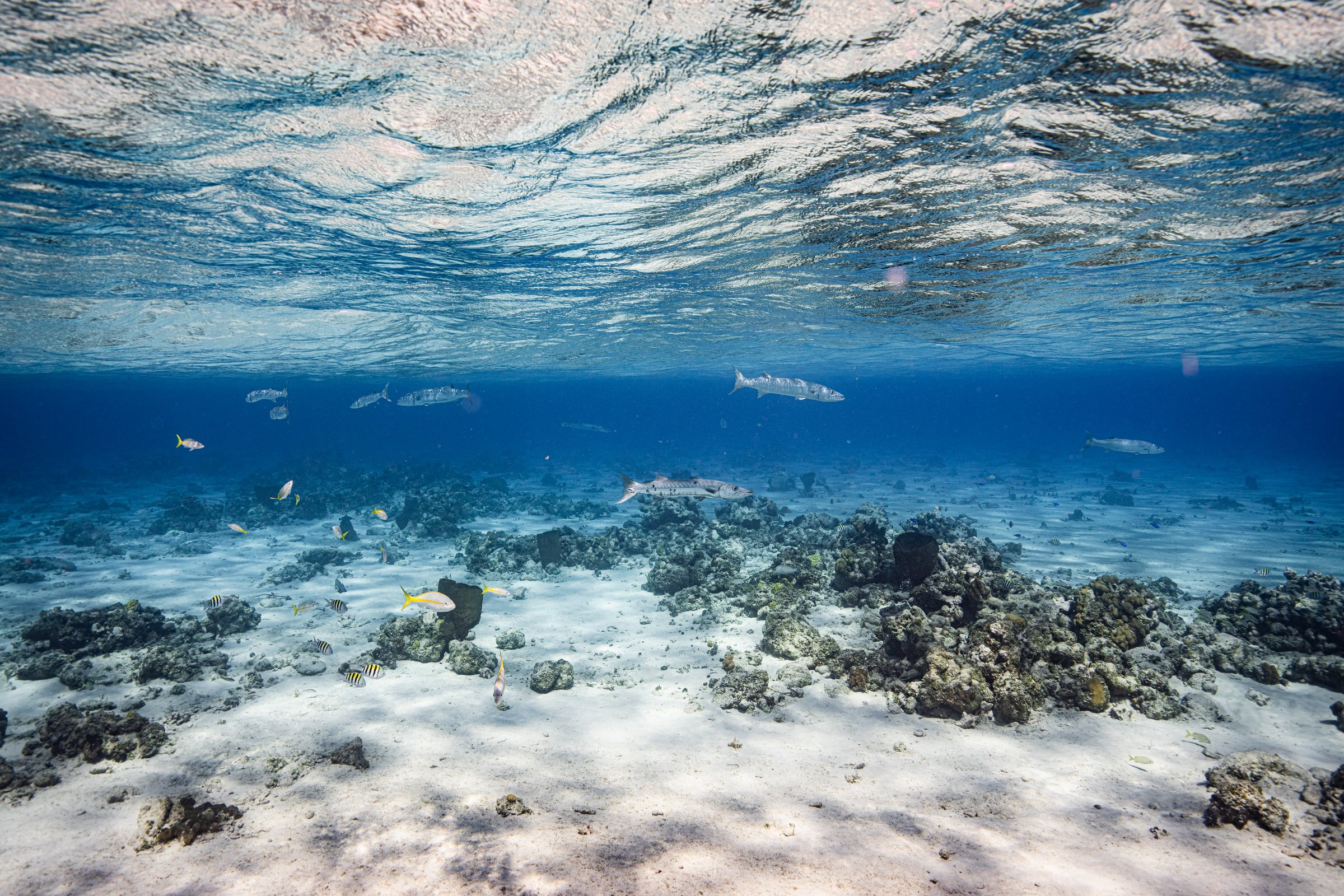 2022-TCI-8.jpg