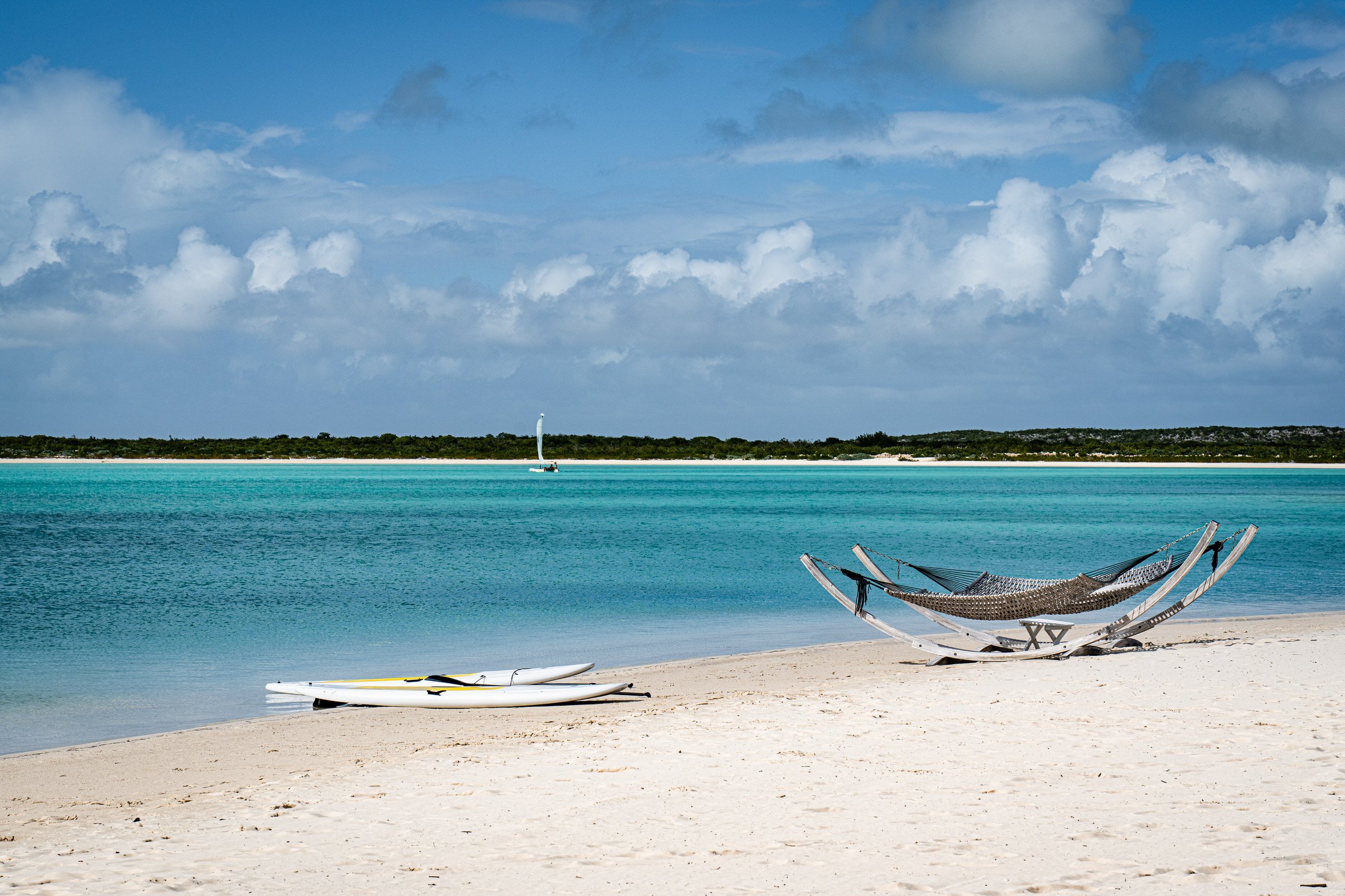 2022-TCI-25.jpg