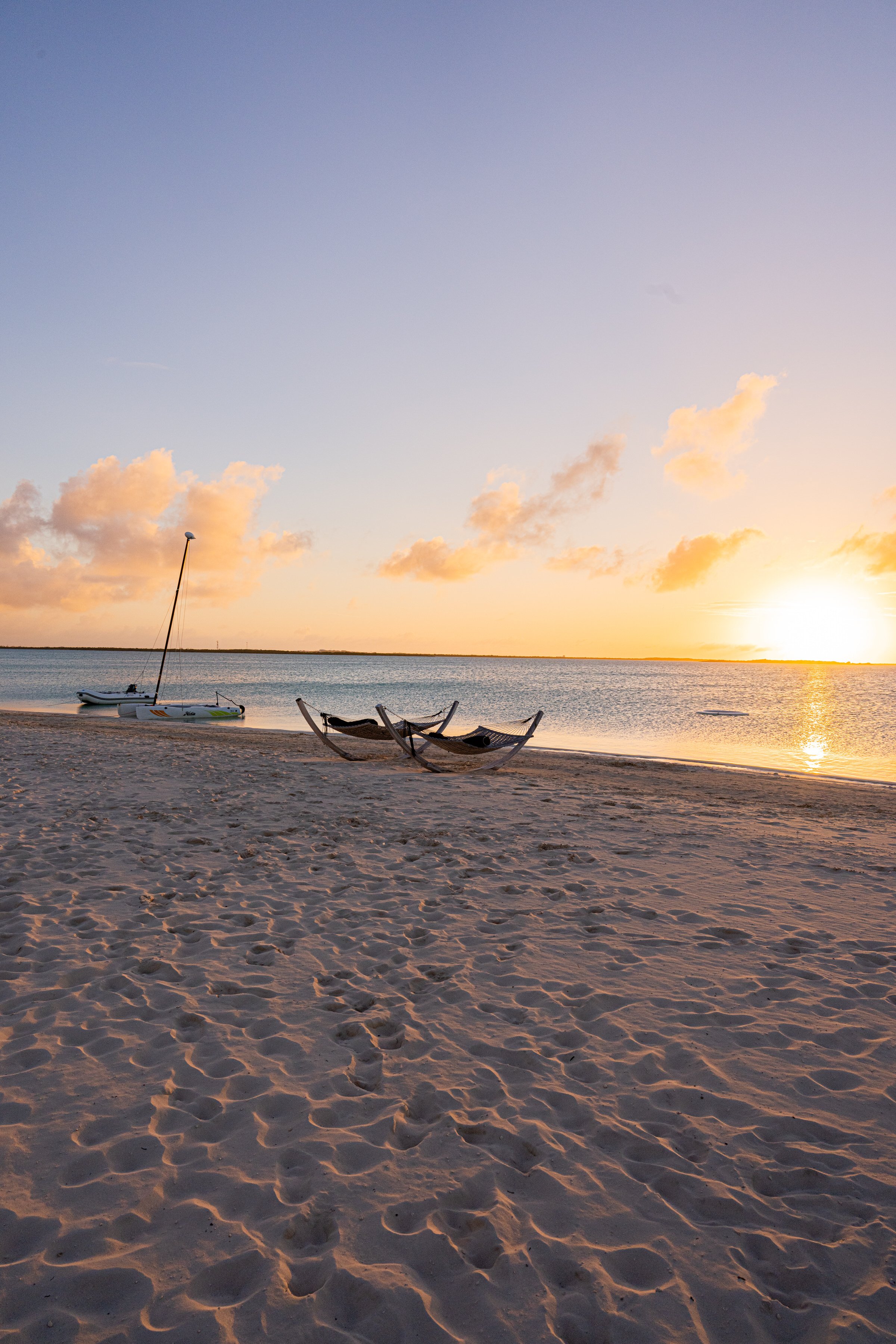 2022-TCI-28.jpg