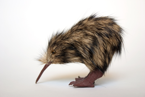 100% Kiwi owned!