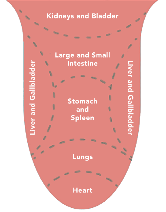 The Tale the Tongue Tells — Acupuncture by Andrea