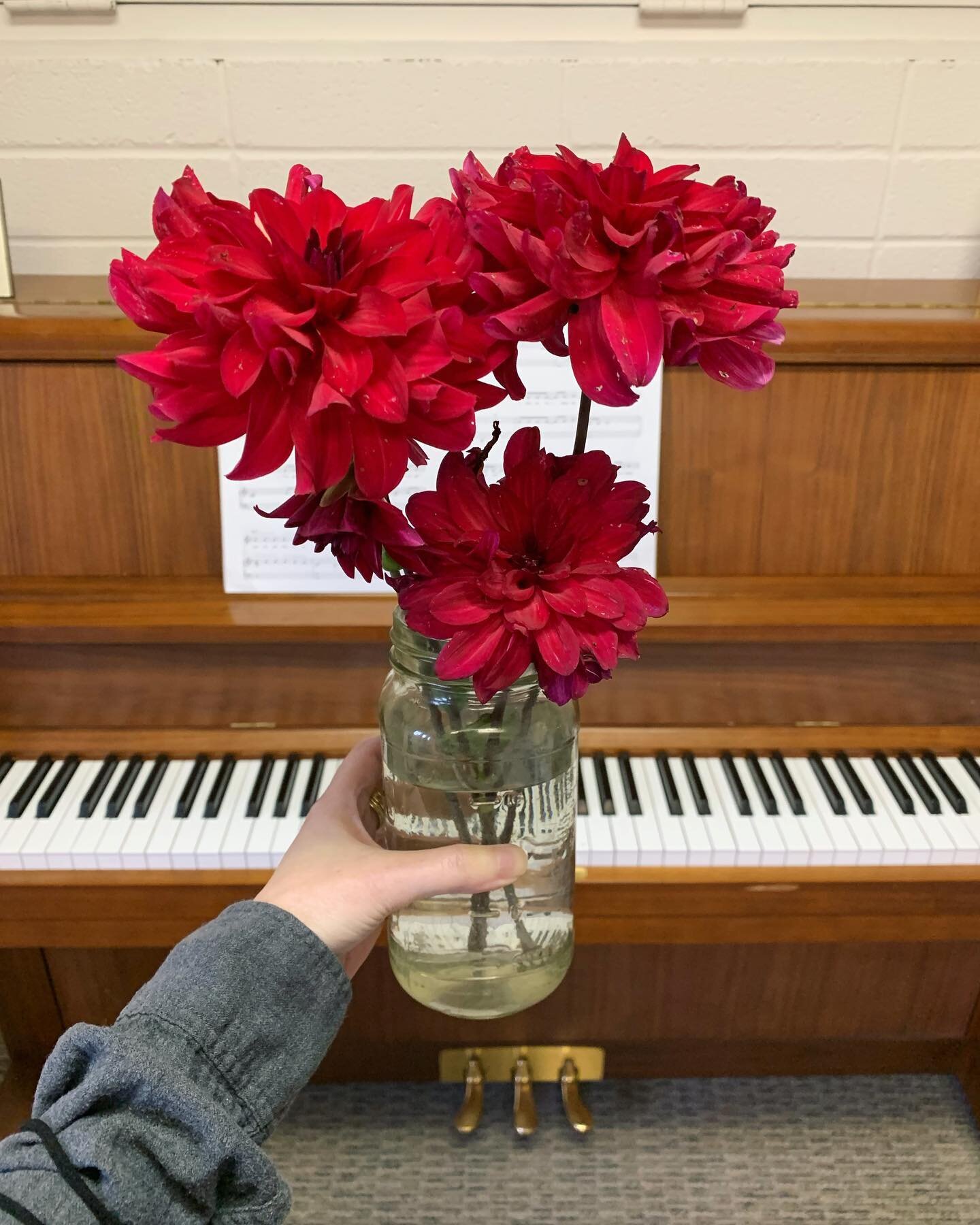 One of my students brought dahlias from her garden today 🌺🎶❤️