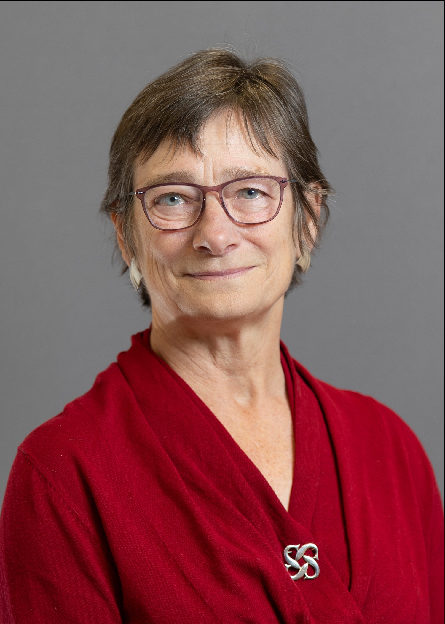 Lisa Schmidt, President and CEO Lisa has worked at 9 startups over her career, most of which — but not all — successfully delivered valuable products to customers. HEA is the most important startup because it is addressing the most crucial proble