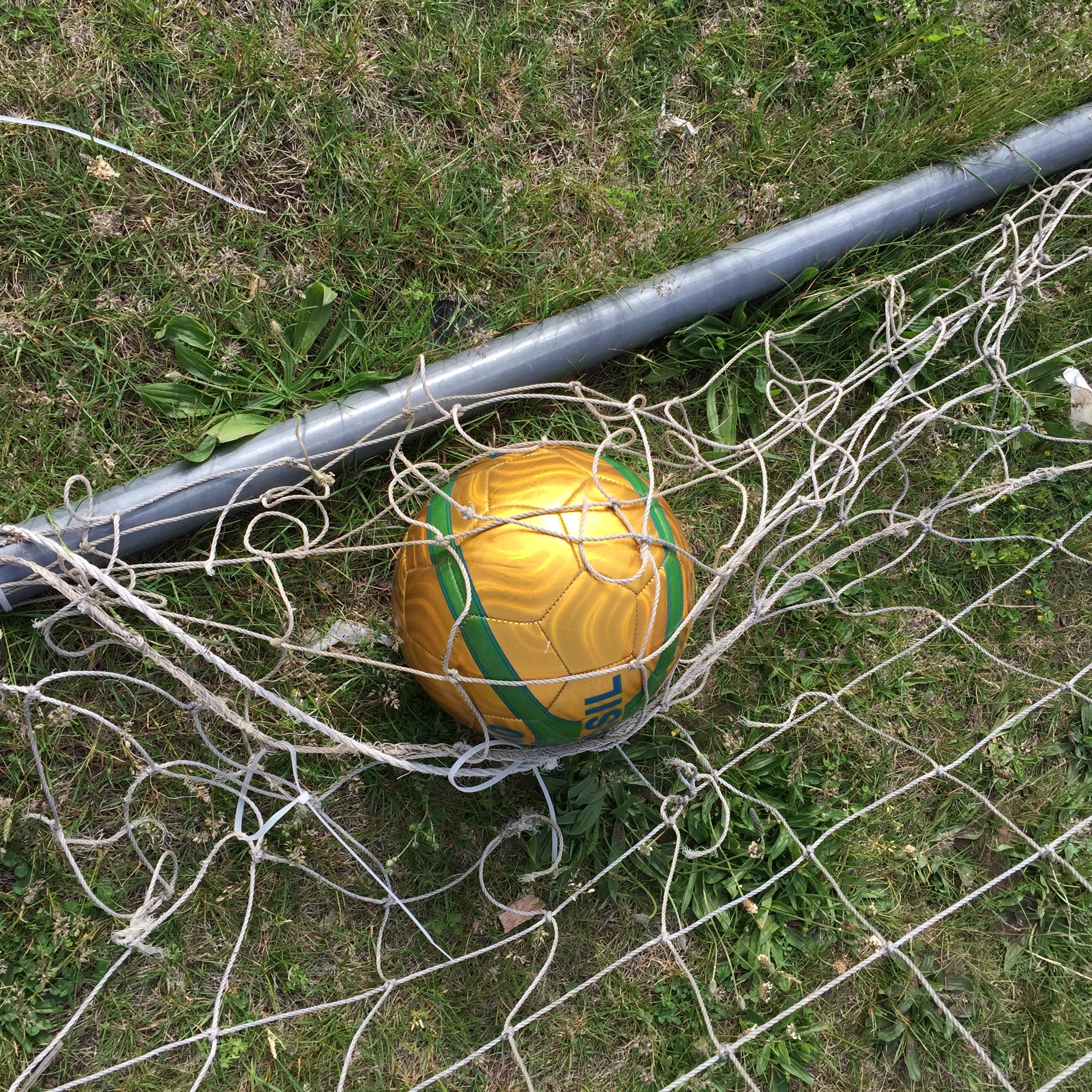 IMG_8890.JPG