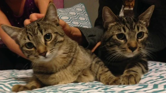 Watson and Holmes at 6 months