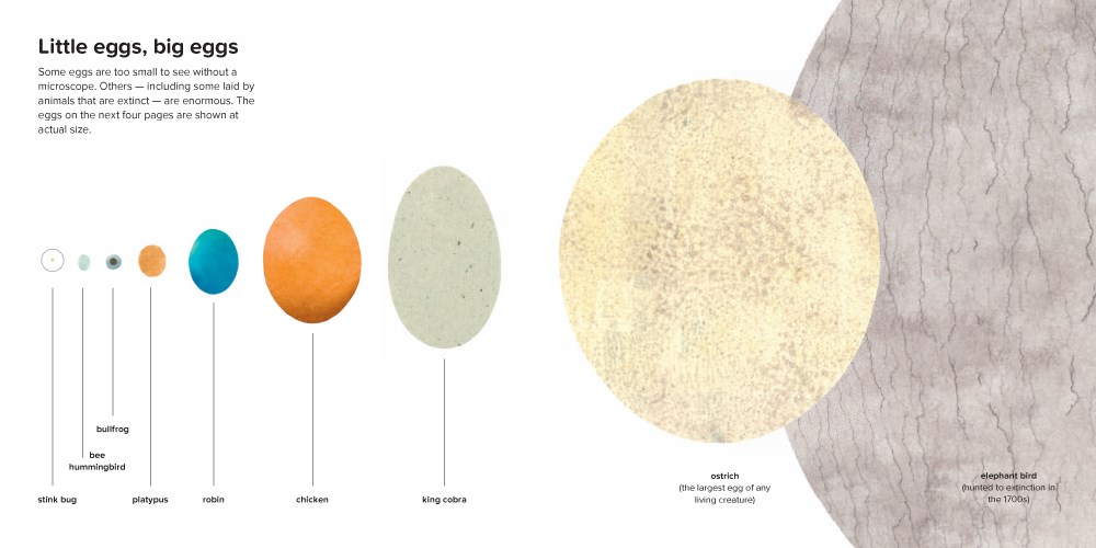 Nonfiction Picture Book Wednesday: Chickens and Eggs and Nests — Kid Lit Frenzy Nonfiction Picture Book Wednesday: Chickens and Eggs and Nests — Kid Lit Frenzy