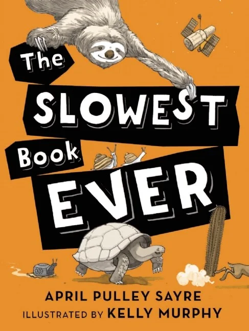 slowbookcover.jpg