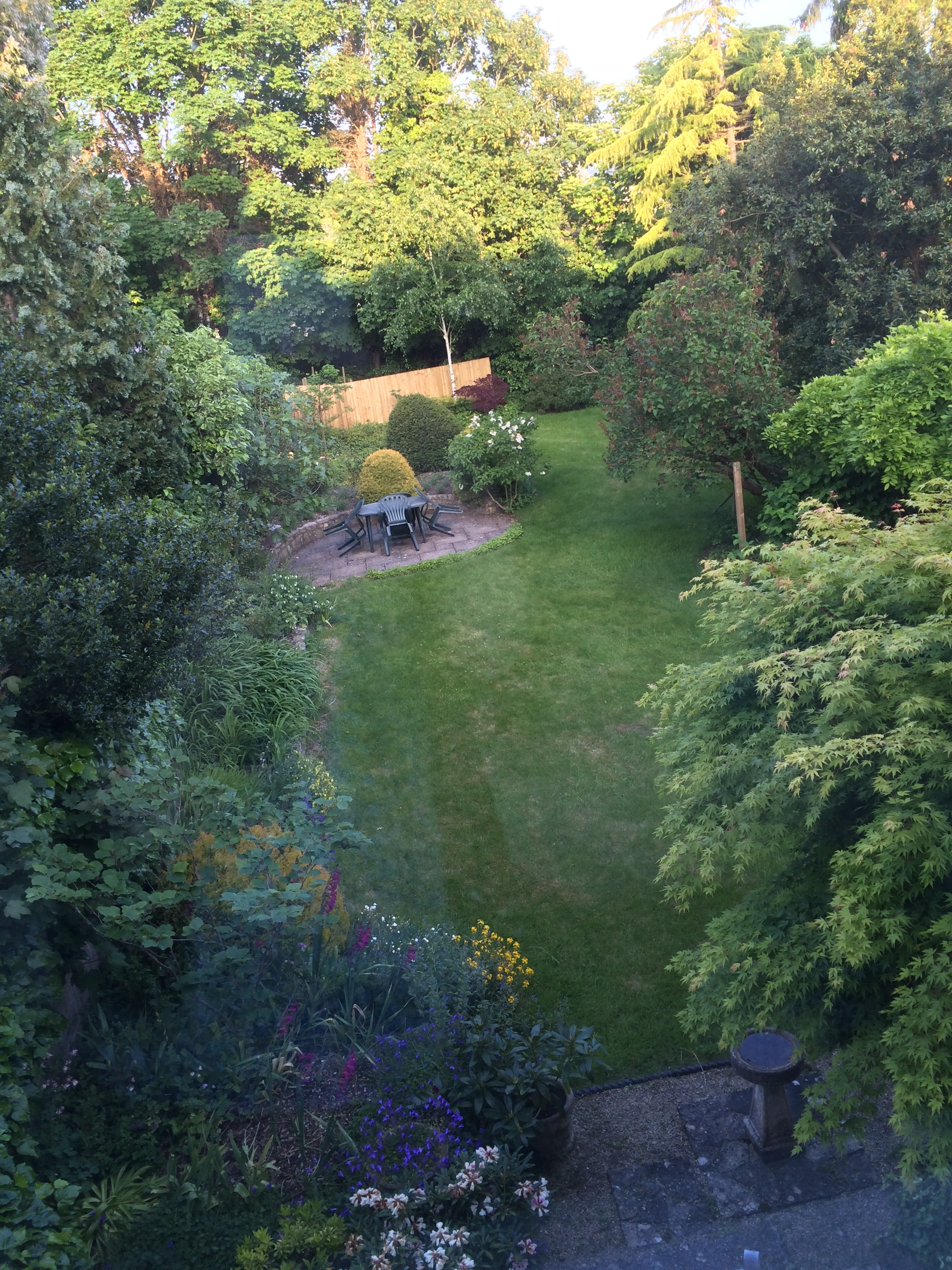  The view of the backyard/gardens from our window. 