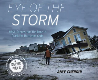 eye of the storm.jpg